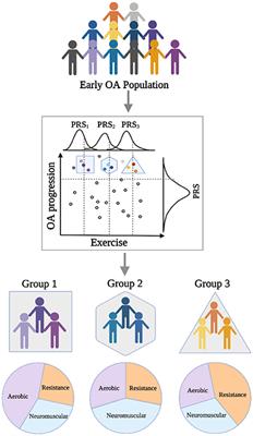 Can genetics guide exercise prescriptions in osteoarthritis?